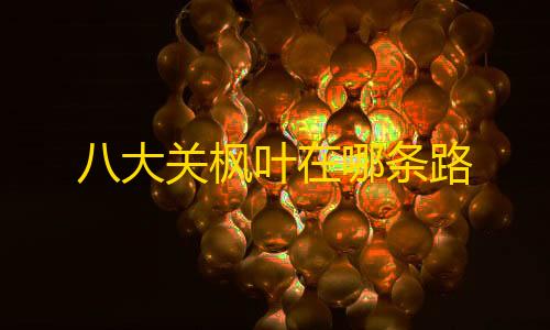 暗区突围物资雷达八大关枫叶在哪条路